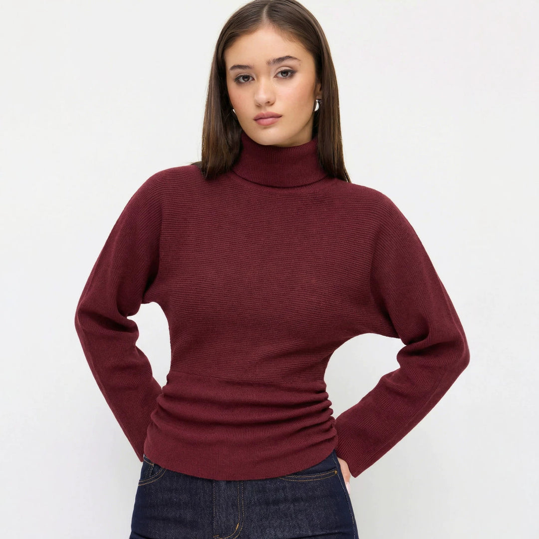 Women Elegant Turtleneck Sweater Mune Fashion