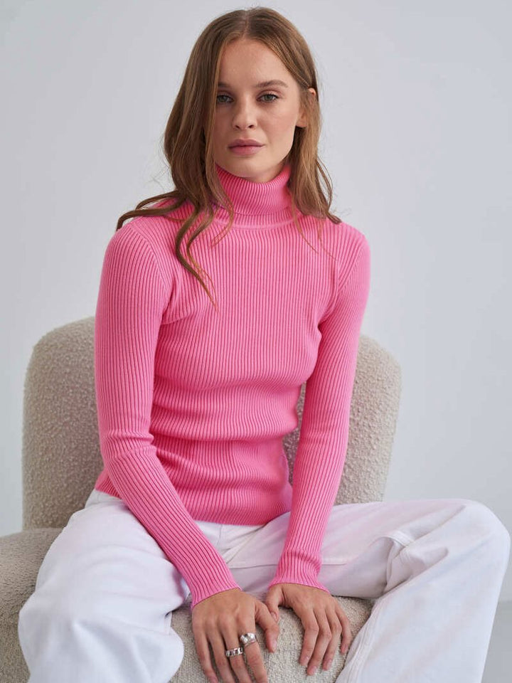 Women's Figure-Hugging Ribbed Roll Neck Sweater Mune Fashion