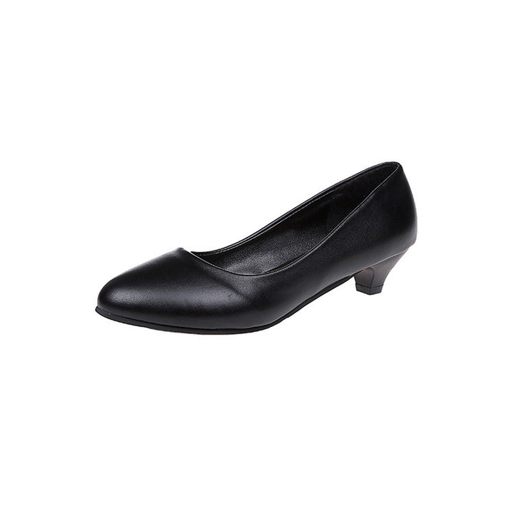 Women's pointed tapered business pumps with low conical heel and cushioned comfort insole Mune Fashion