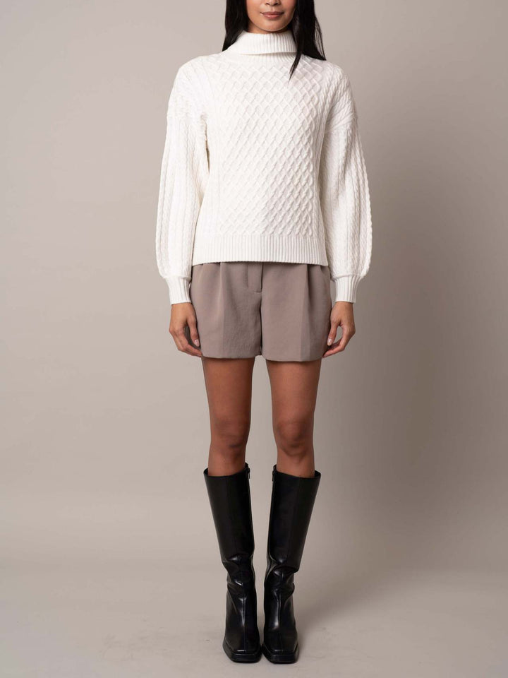 Women's stylish knitted sweater with high collar