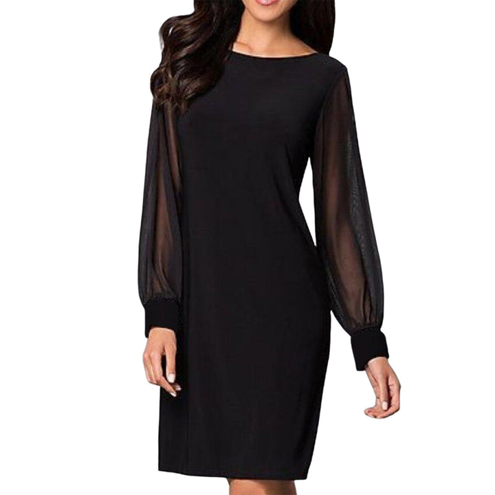 Women's elegant sheath dress with transparent chiffon sleeves, round neckline, and tailored silhouette Mune Fashion