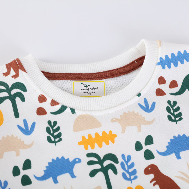 Boys sweatshirt with vibrant dinosaur pattern Mune Fashion