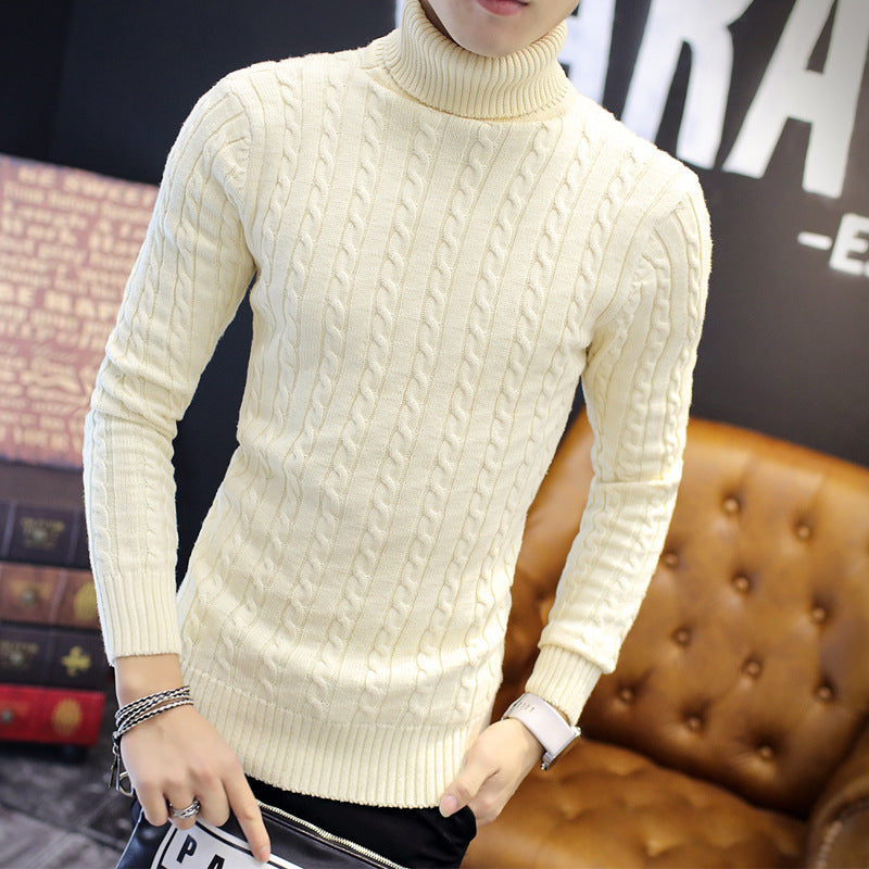 Men's fine-knit turtleneck sweater with cable pattern and slim silhouette Mune Fashion