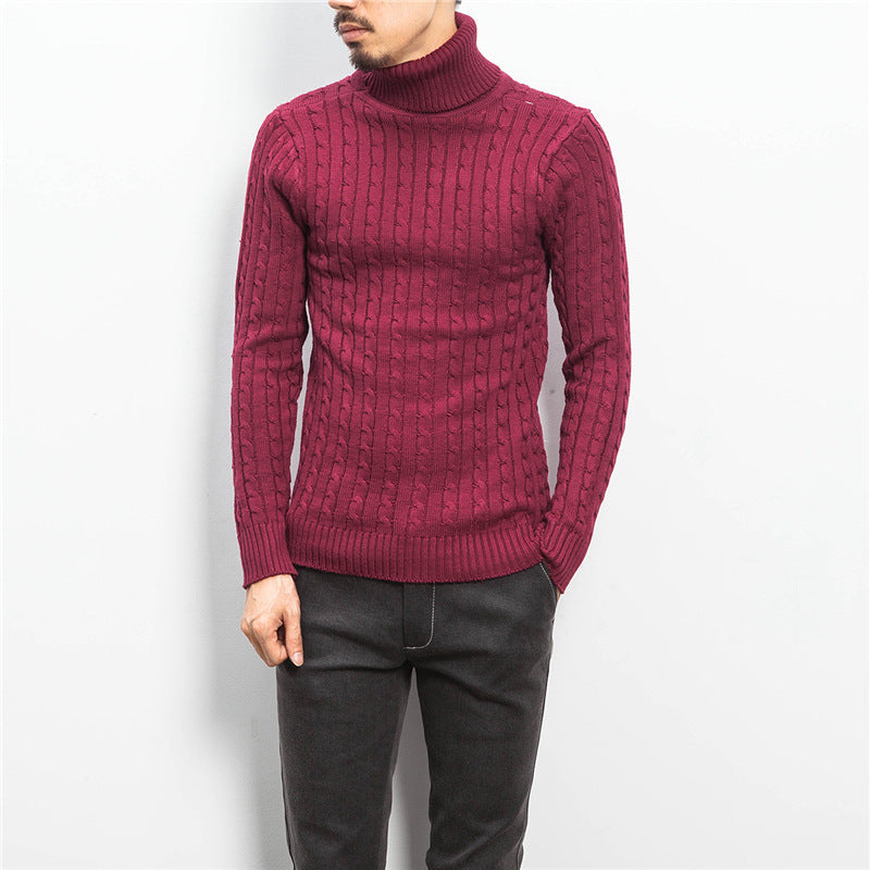 Men's fine-knit turtleneck sweater with cable pattern and slim silhouette Mune Fashion