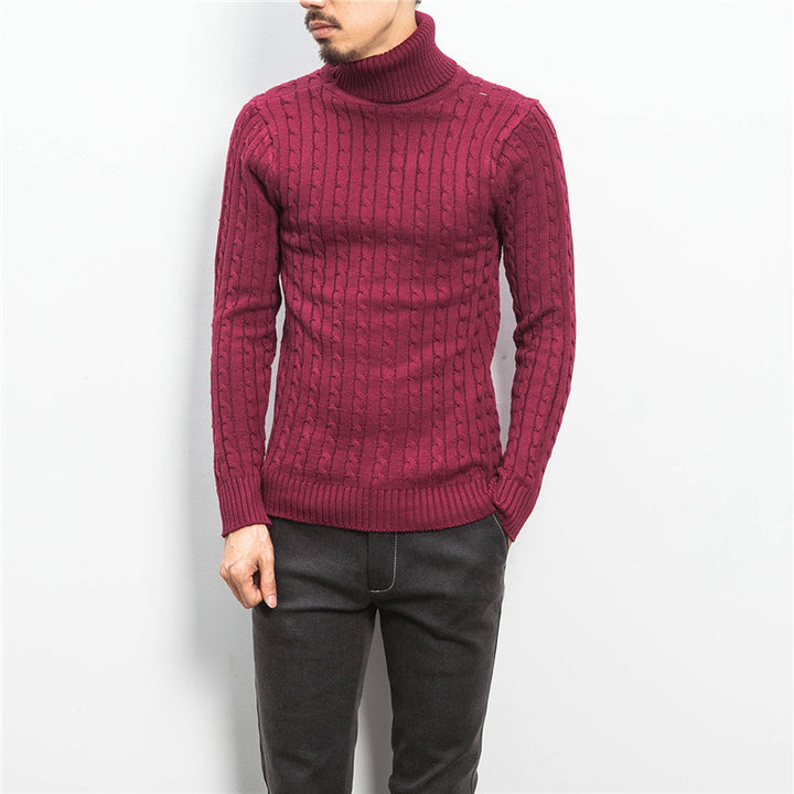 Men's fine-knit turtleneck sweater with cable pattern and slim silhouette Mune Fashion