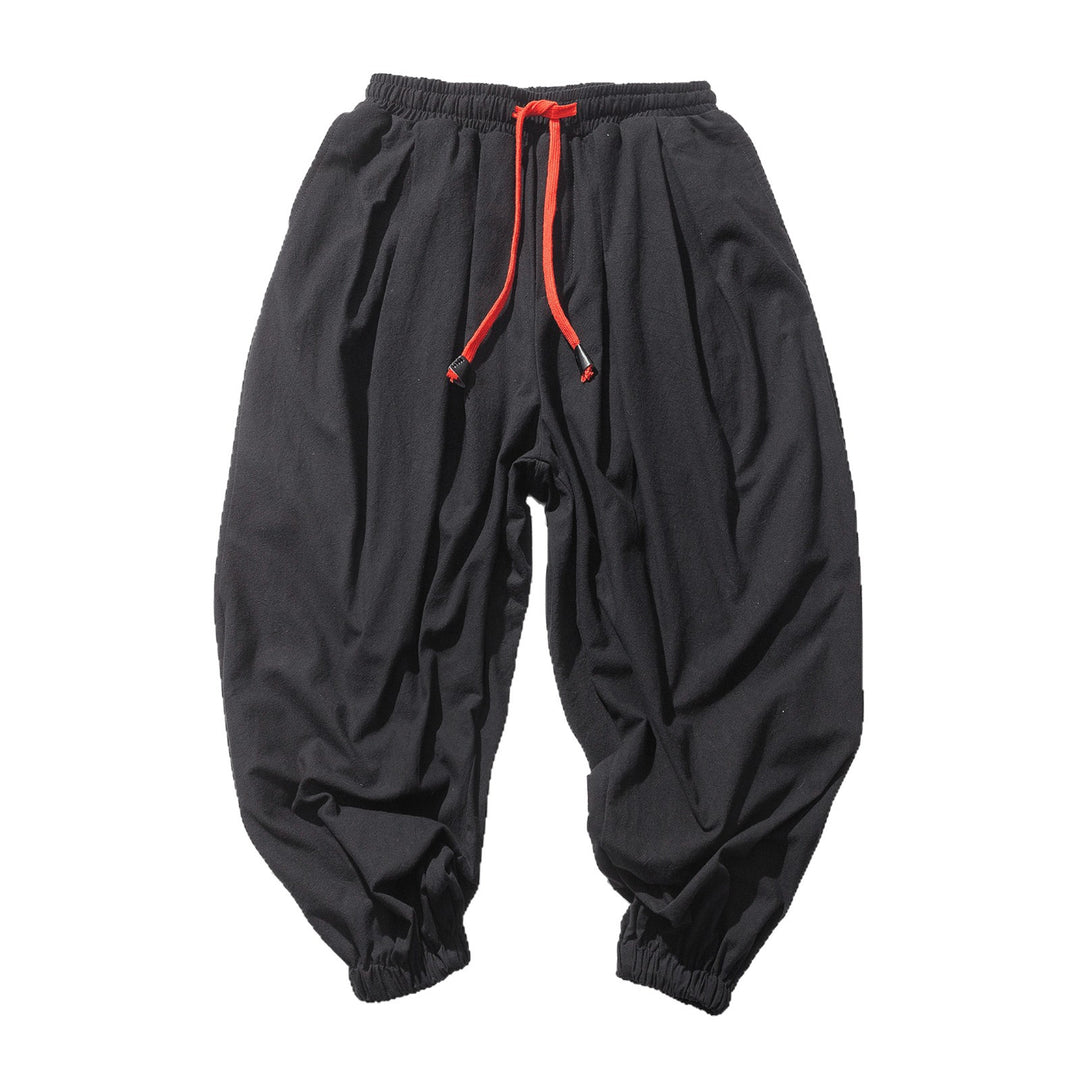 Men's unusual harem-style balloon pants with pleats, elastic waistband, and drawstring Mune Fashion