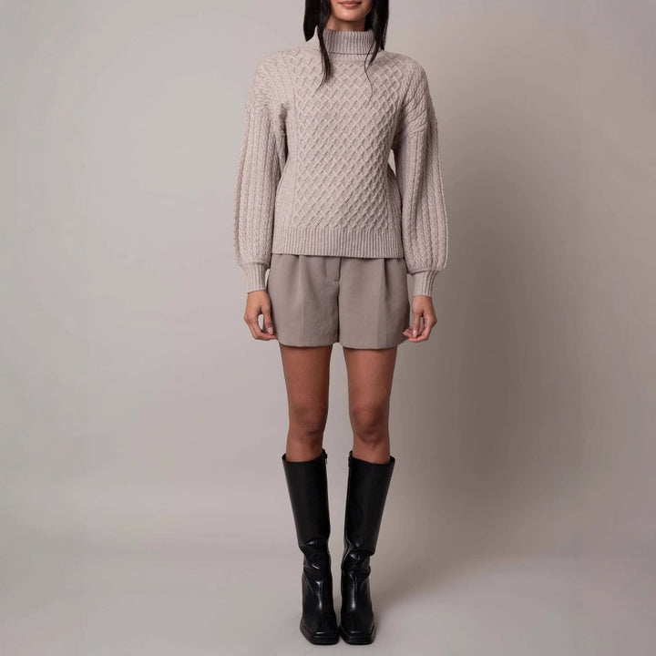 Women's stylish knitted sweater with high collar