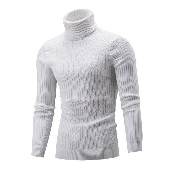 Men's Tailored Thermal Roll Neck Sweater with Cable and Rib Knit Structure Mune Fashion