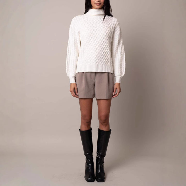 Women's stylish knitted sweater with high collar