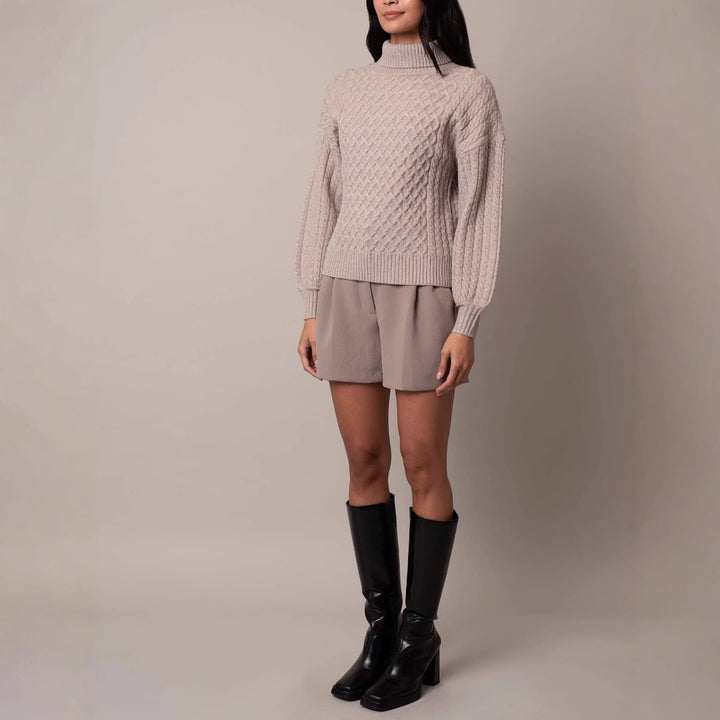 Women's stylish knitted sweater with high collar