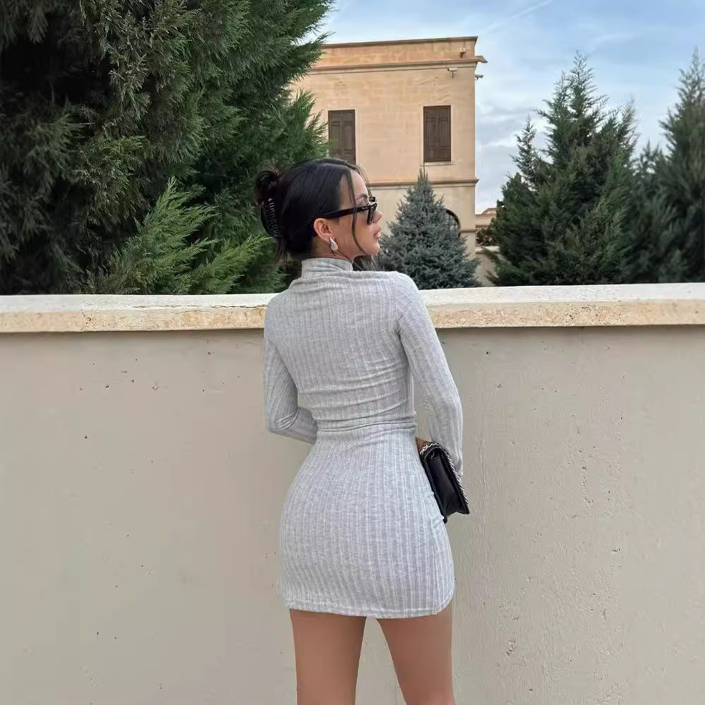Women's Slim-Fitting Ribbed Knit Mini Dress with Turtleneck and Long Sleeves Mune Fashion