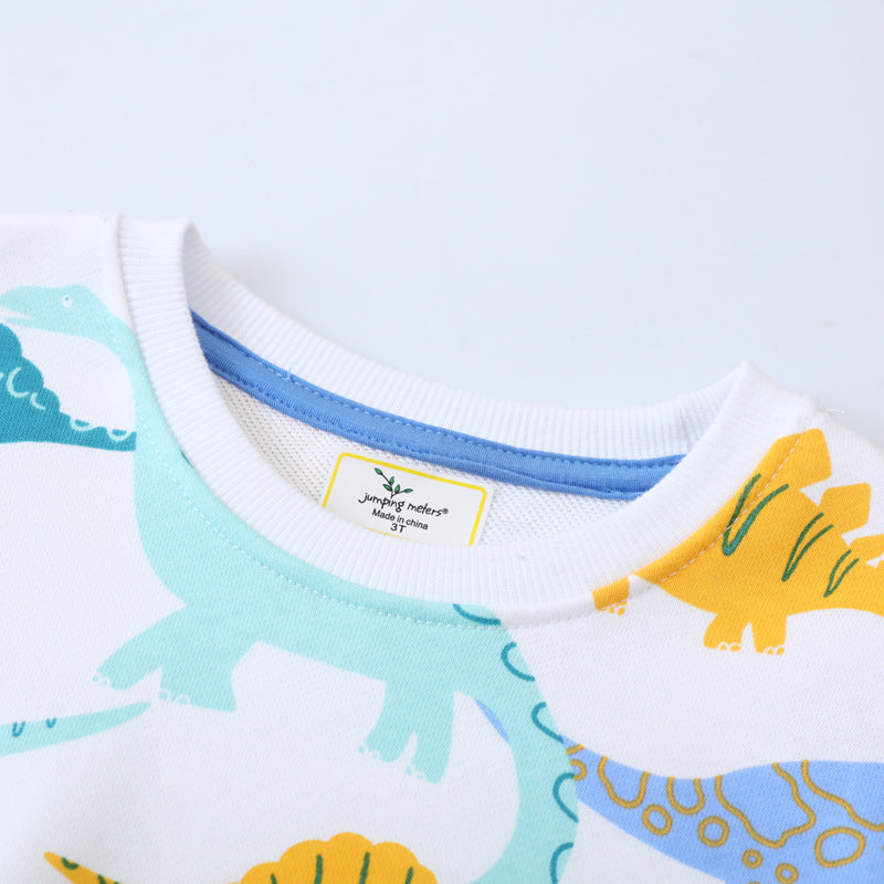Boys sweatshirt with colorful dinosaur design Mune Fashion