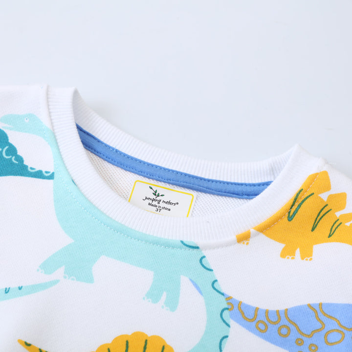 Boys sweatshirt with colorful dinosaur design Mune Fashion
