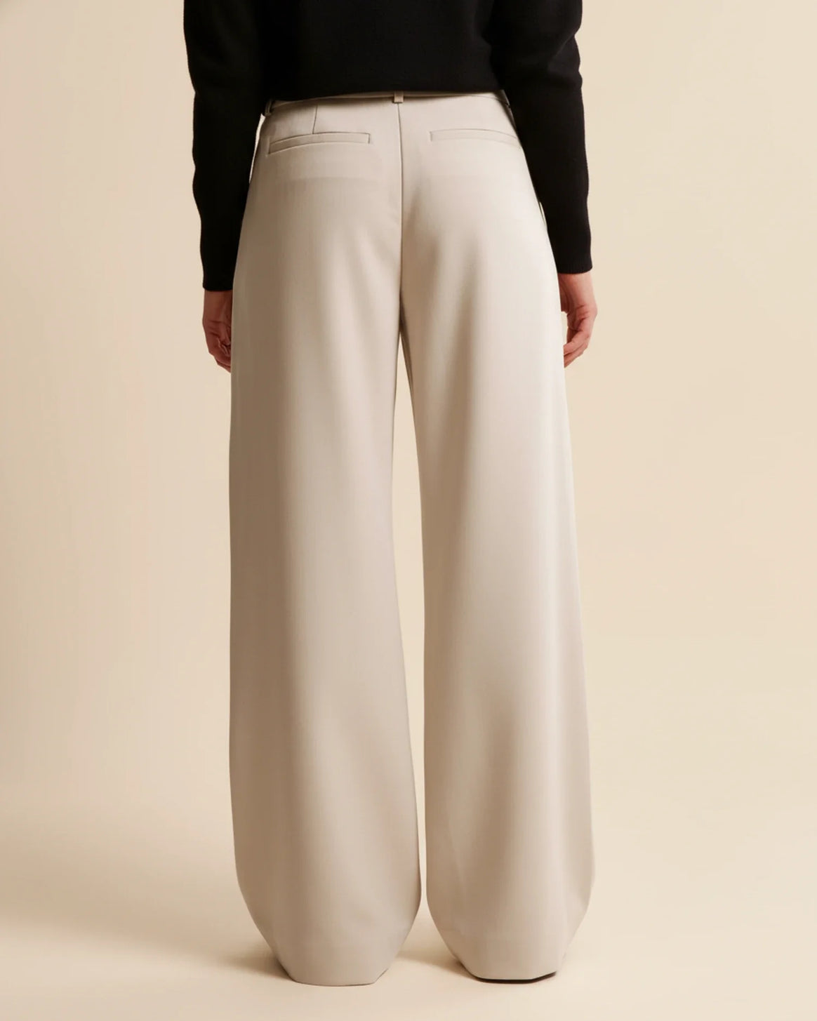 Mune | High Waist Pleated Leg Trousers with Tailored Fit
